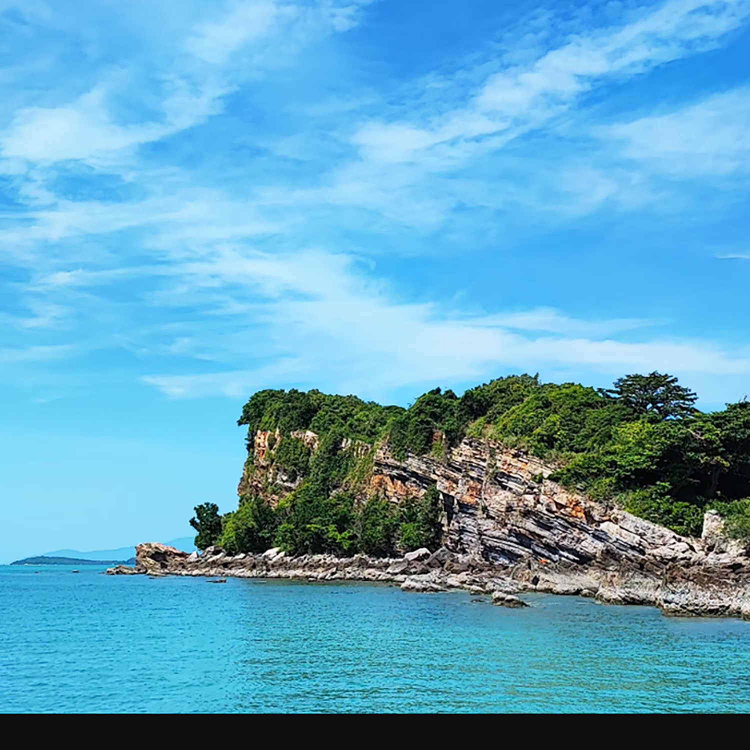 Pig Island VIP