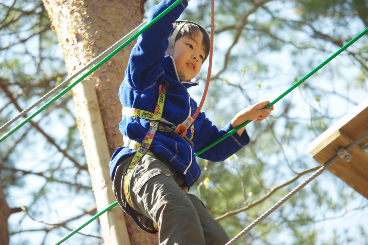 Forest Adventure Experience in Fukuoka