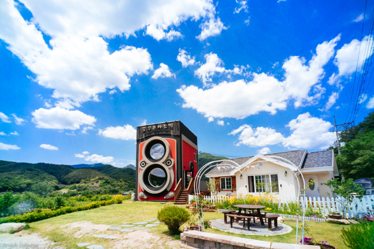 Seoul Car Rental with Driver to Dumulmeori/Hwadam Forest/Jebu Island