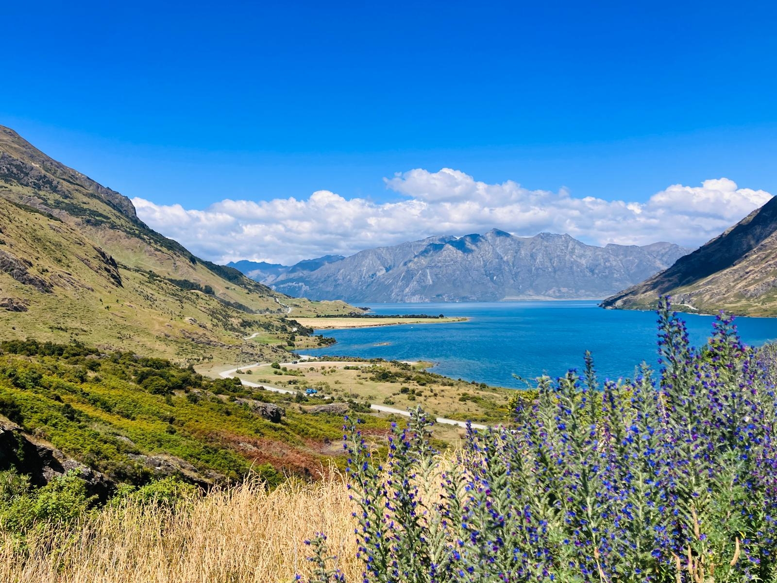 Queenstown to Christchurch via Franz Josef 2 Day Tour