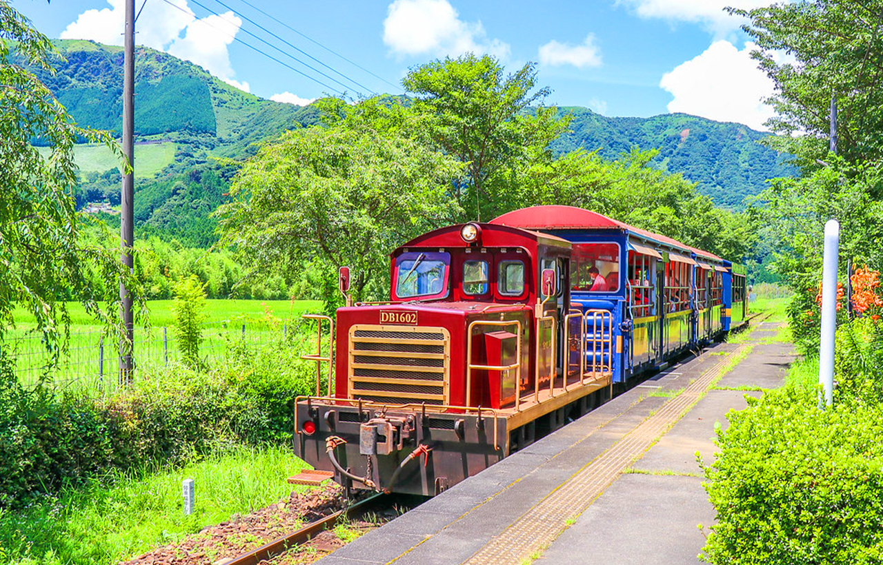 南阿蘇鐵道列車,車型根據每天列車營運情況,隨機安排,敬請知悉。 南阿蘇鐵道列車,車型根據每天列車營運情況,隨機安排,敬請知悉。