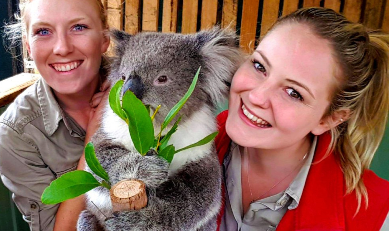 Moonlit Sanctuary Wildlife Conservation Park & Merricks Store One-day Wildlife & Wine Tasting Tour