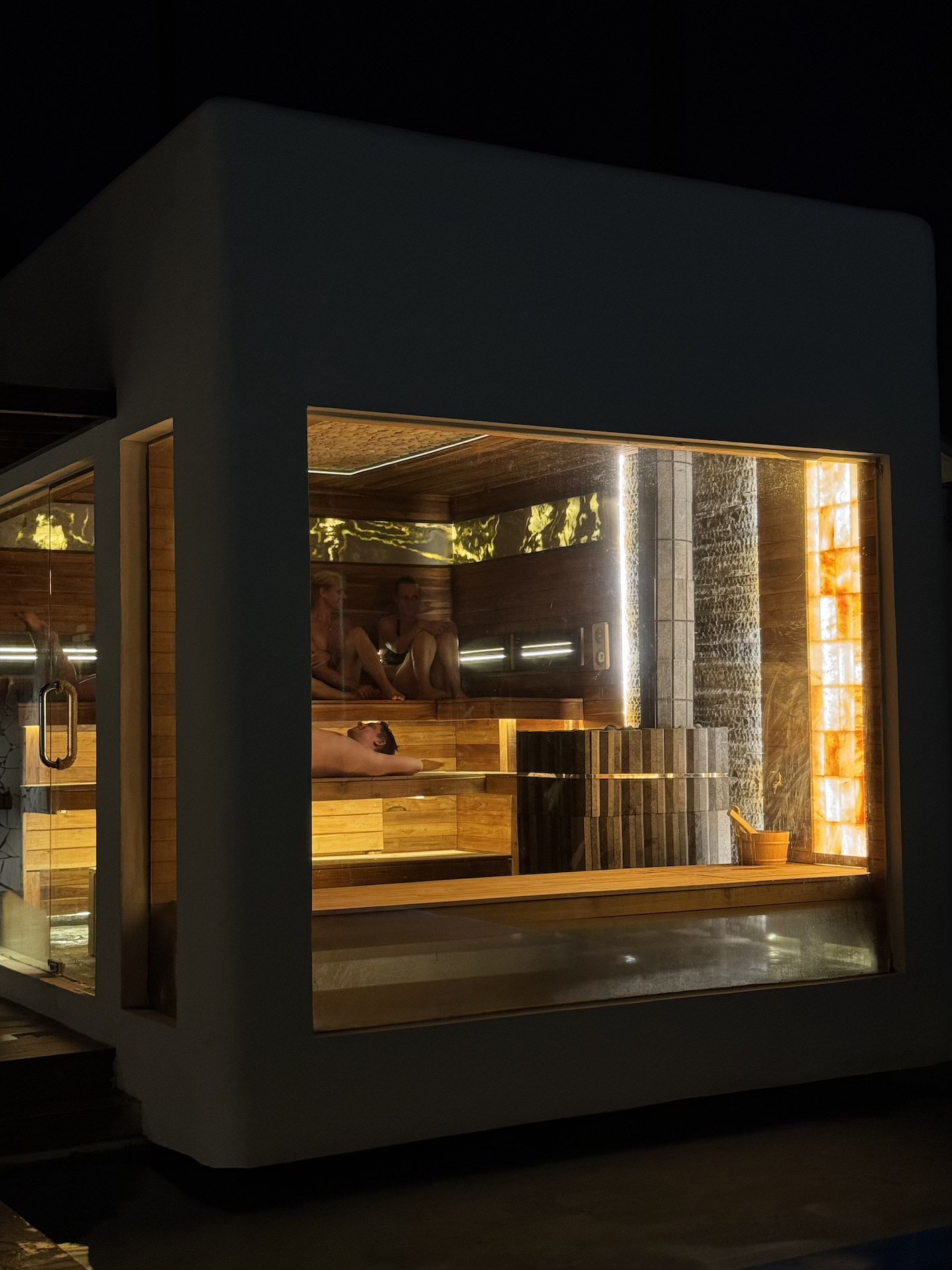 ARCTIC Wellness Recovery Club Pass in Ubud Bali