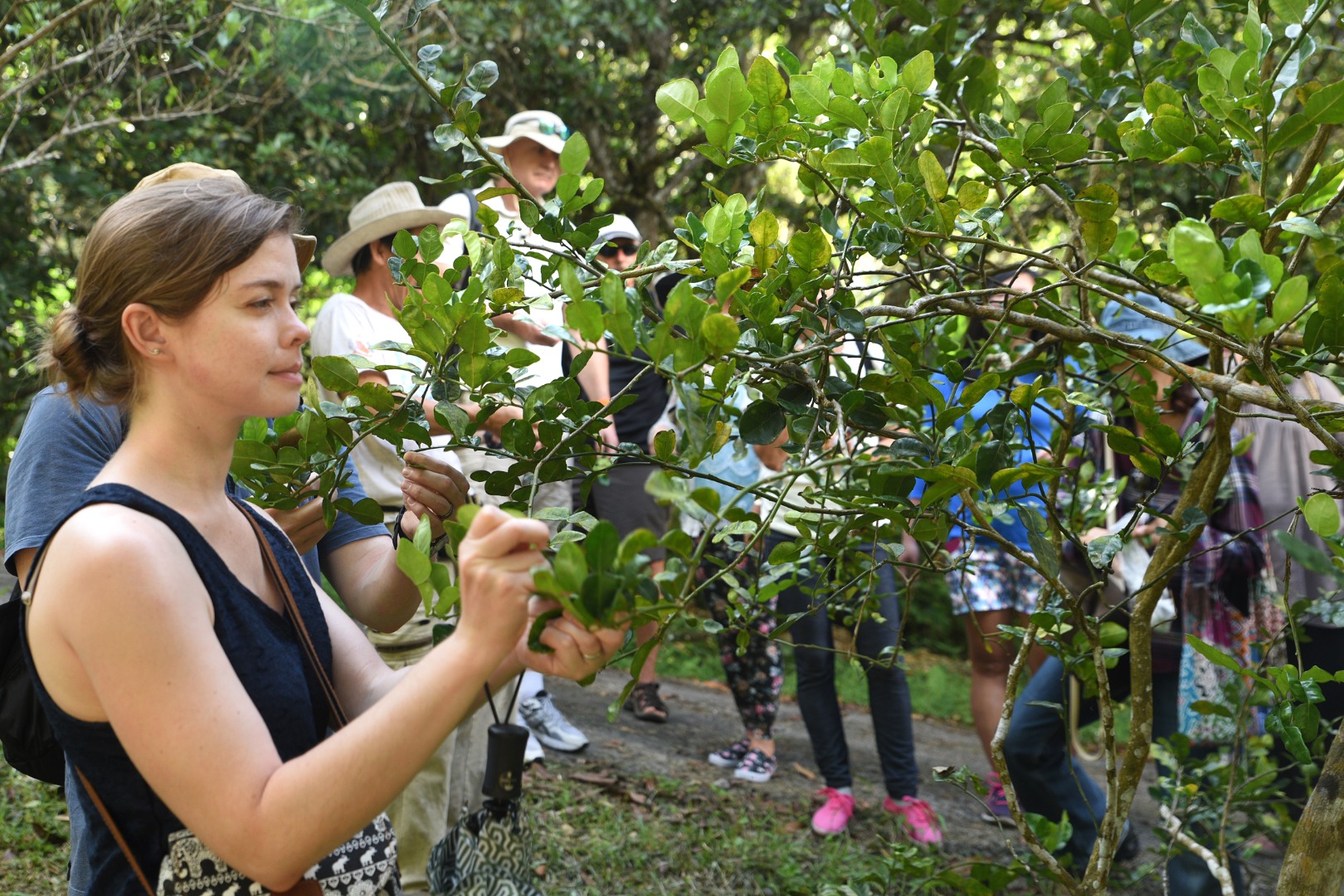 Orchard Farm Fruit Tasting Tour in Penang