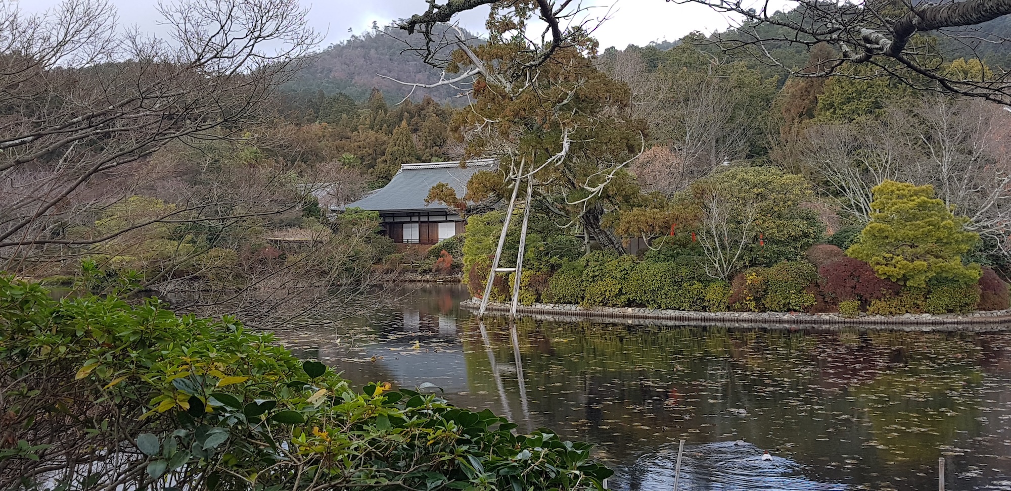 Kyoto: Immersive Arashiyama and Fushimi Inari by private vehicle