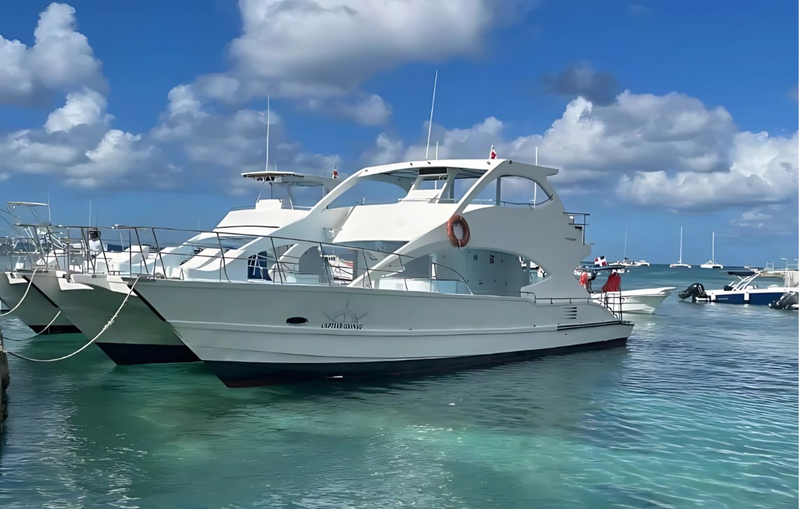 Private Isla Saona Tour – Cruise, Snorkel & Island BBQ