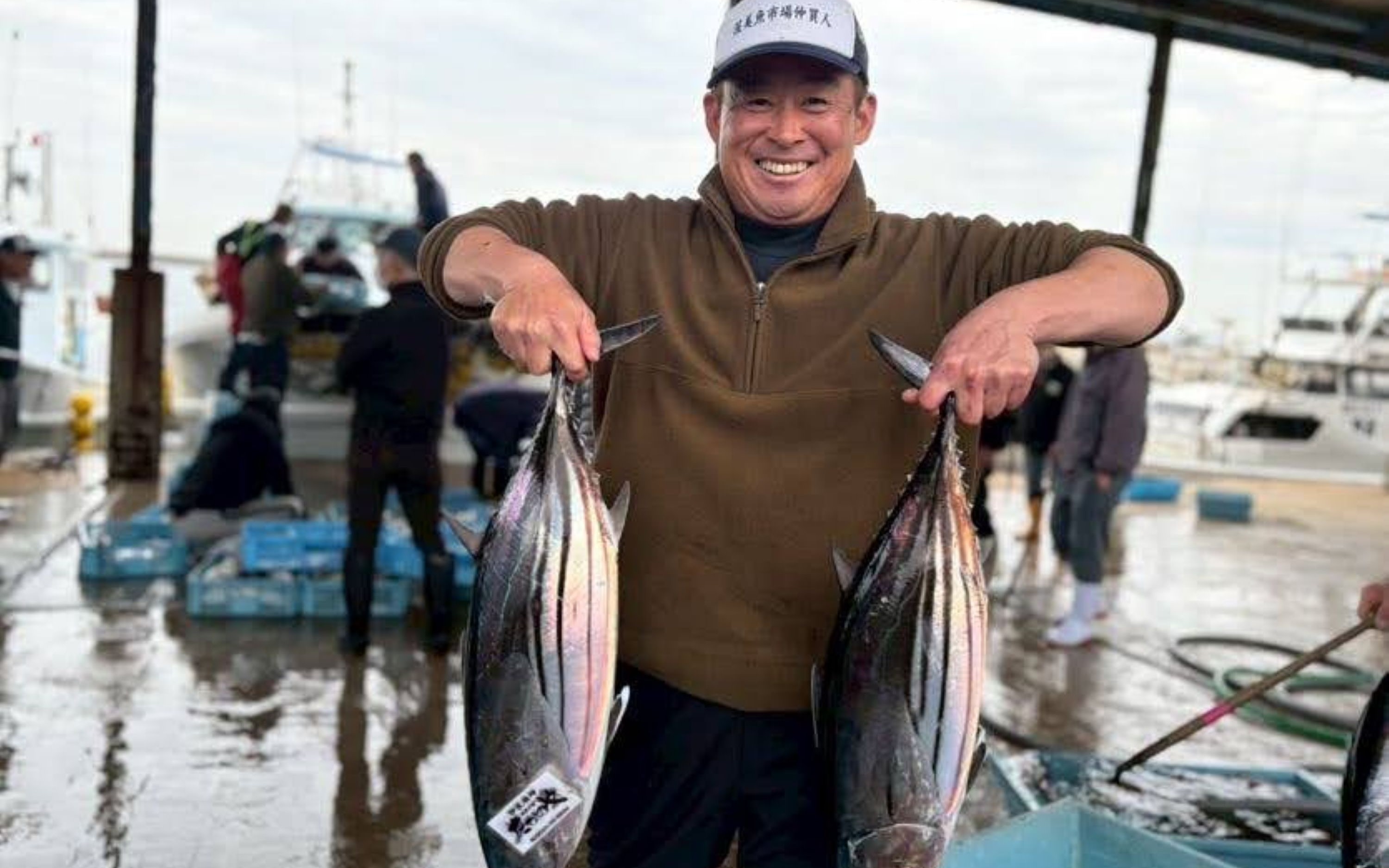 Strawberry picking, Kawazu cherry blossoms, canola flower, fish auction, and seafood lunch day tour