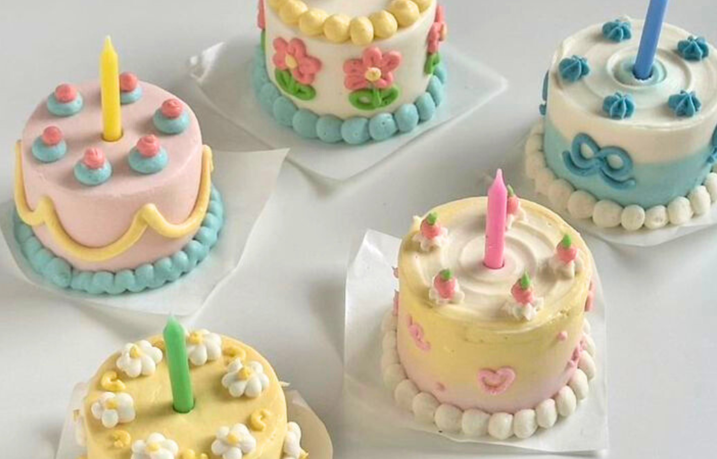 DIY Cake Decorating Experience by Galore Bake Studio