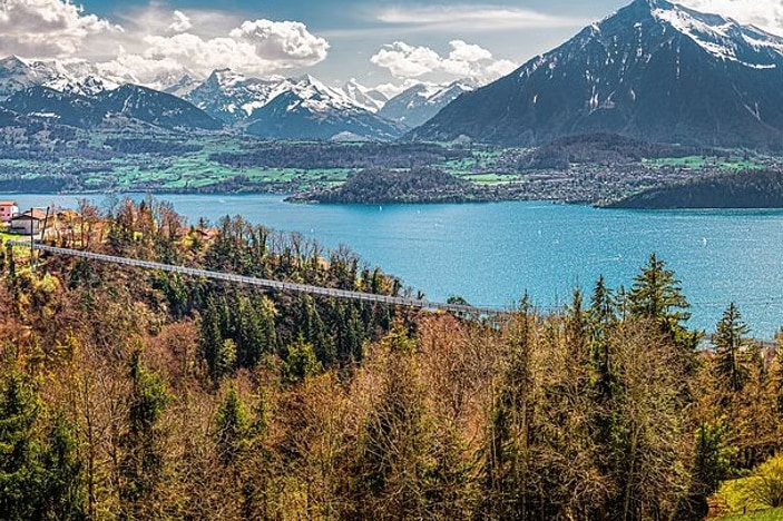 Bernese Oberland and Lake Thun Cruise Day Tour