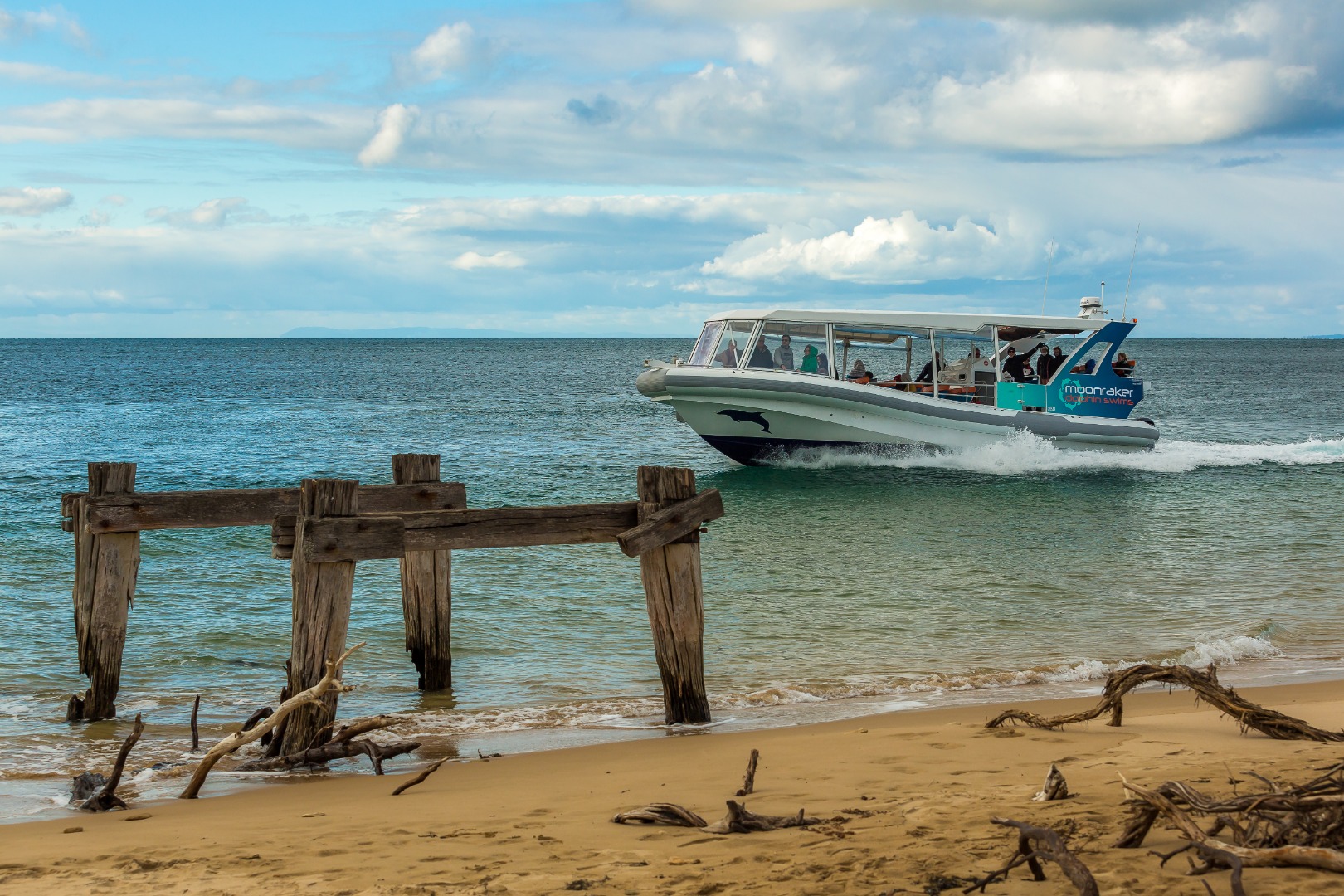 Scenic and Wildlife Adventure Cruise in Port Phillip Bay