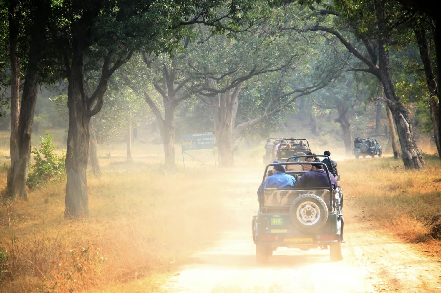 From Jaipur: Ranthambore National Park Day Trip with Safari