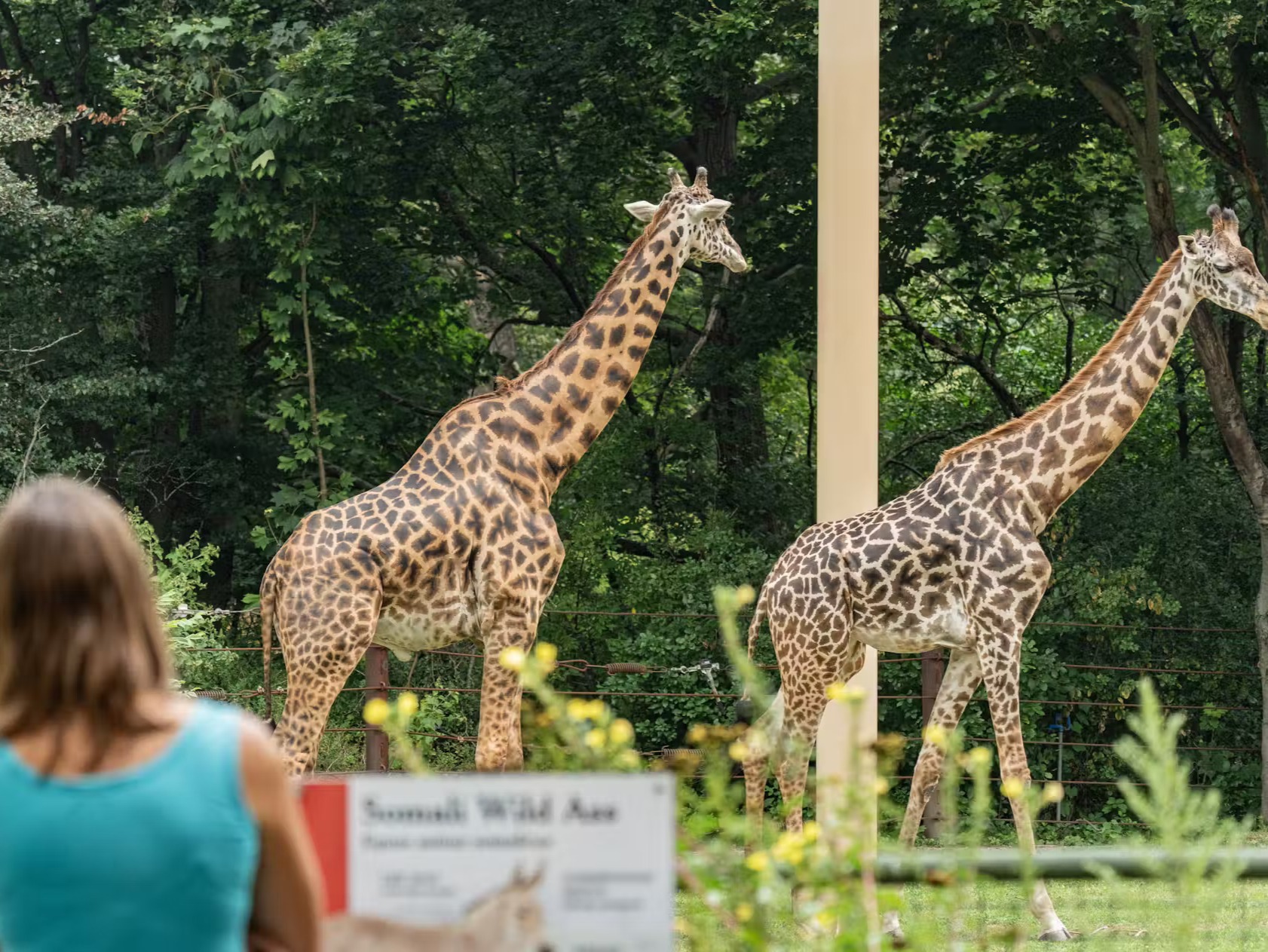 捕捉與珍奇異獸的精彩邂逅，寓教於樂，適合所有年齡層的遊客