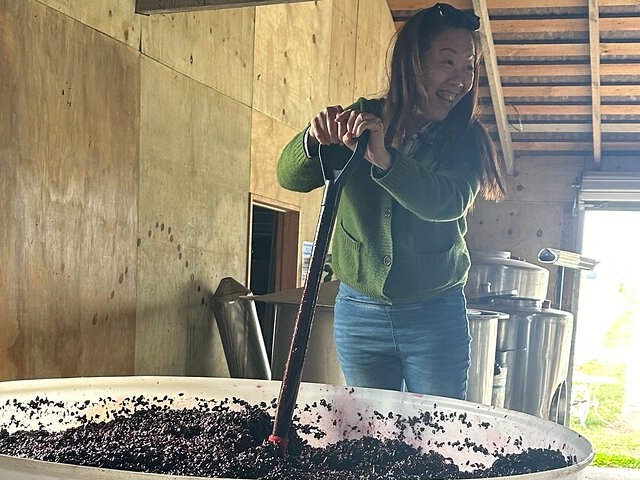 Martinborough Private Chef's Wine Tour and Lunch From Wellington