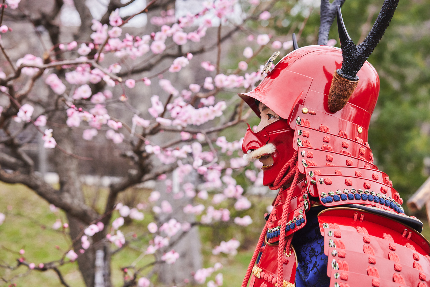 Osaka Castle Park 🌸Best time to visit
Umegorin (plum grove) ➤ 2/ upper - 3/ middle
Cherry blossoms (Someiyoshino) ➤3/15 - 5/up