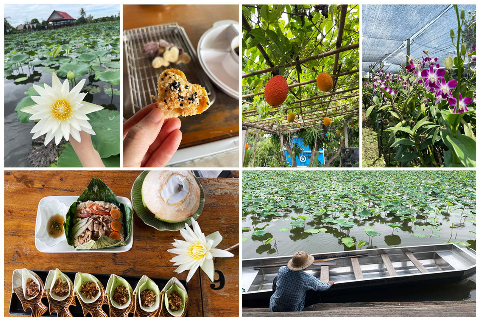 參加瑪哈沙瓦運河之旅,體驗沿岸的泰國文化。您將看到美麗的荷花農場,品嚐泰式甜點“Miang Kham”,參觀蘭花農場,品嚐傳統泰式小吃“Khao tang”,健康水果“fak Khao”等等! 參加瑪哈沙瓦運河之旅,體驗沿岸的泰國文化。您將看到美麗的荷花農場,品嚐泰式甜點“Miang Kham”,參觀蘭花農場,品嚐傳統泰式小吃“Khao tang”,健康水果“fak Khao”等等!