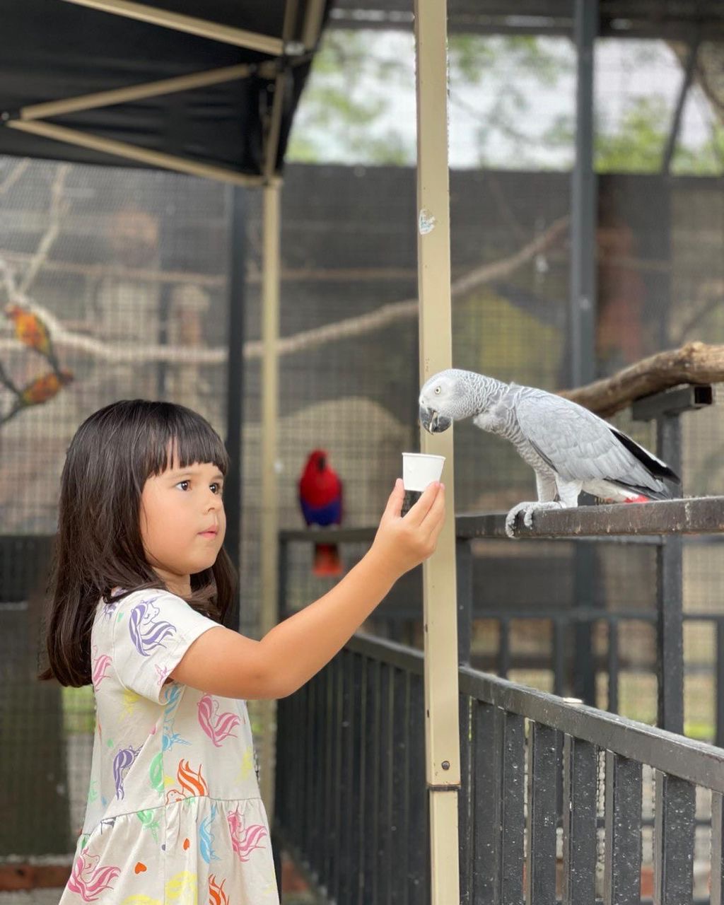 雪蘭莪沙登G2G動物園門票