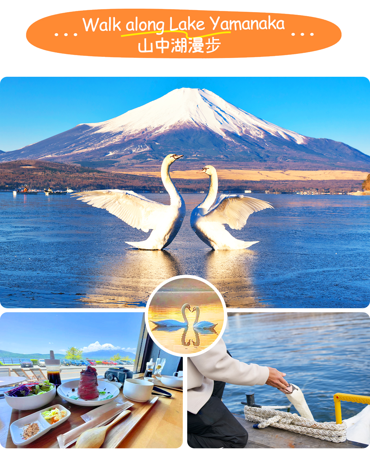 山中湖是富士五湖中最大且水淺的湖泊，可遠眺富士山全景，並體驗寧靜的自然風光。