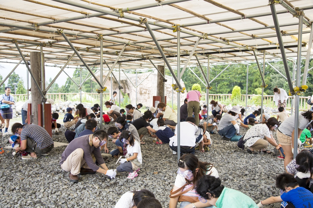 ※自選活動：體驗挖掘化石的樂趣，親手敲開約 1.2 億年前的岩石。此活動需提前預約，並額外收費，不包含在行程費用中。