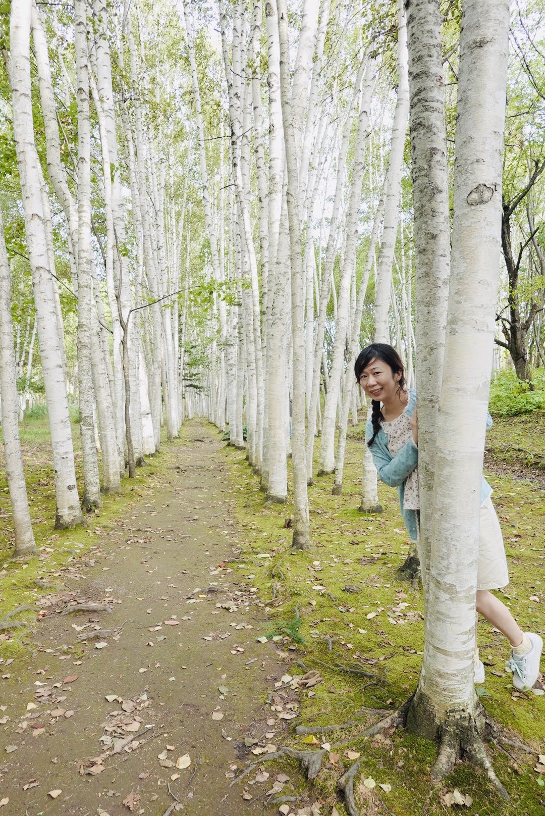 北海道｜夏日富良野浪漫追逐薰衣草花田一日團｜日之岀公園／富田農場／四季彩之丘+白金青池+美瑛牧場｜札幌出發