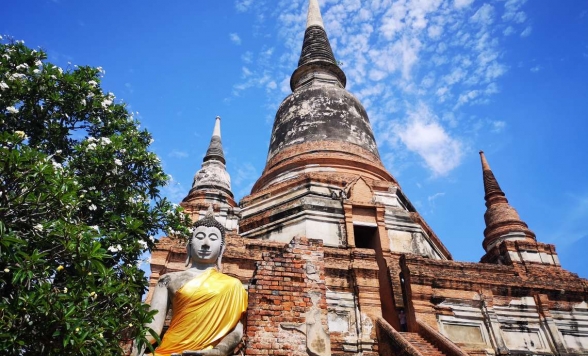Let's go to Ayutthaya, a World Heritage Site, on the State Railway of Thailand Special Express Diesel Railcar! 6 Major Ruins Sightseeing by Panda Bus (E9)