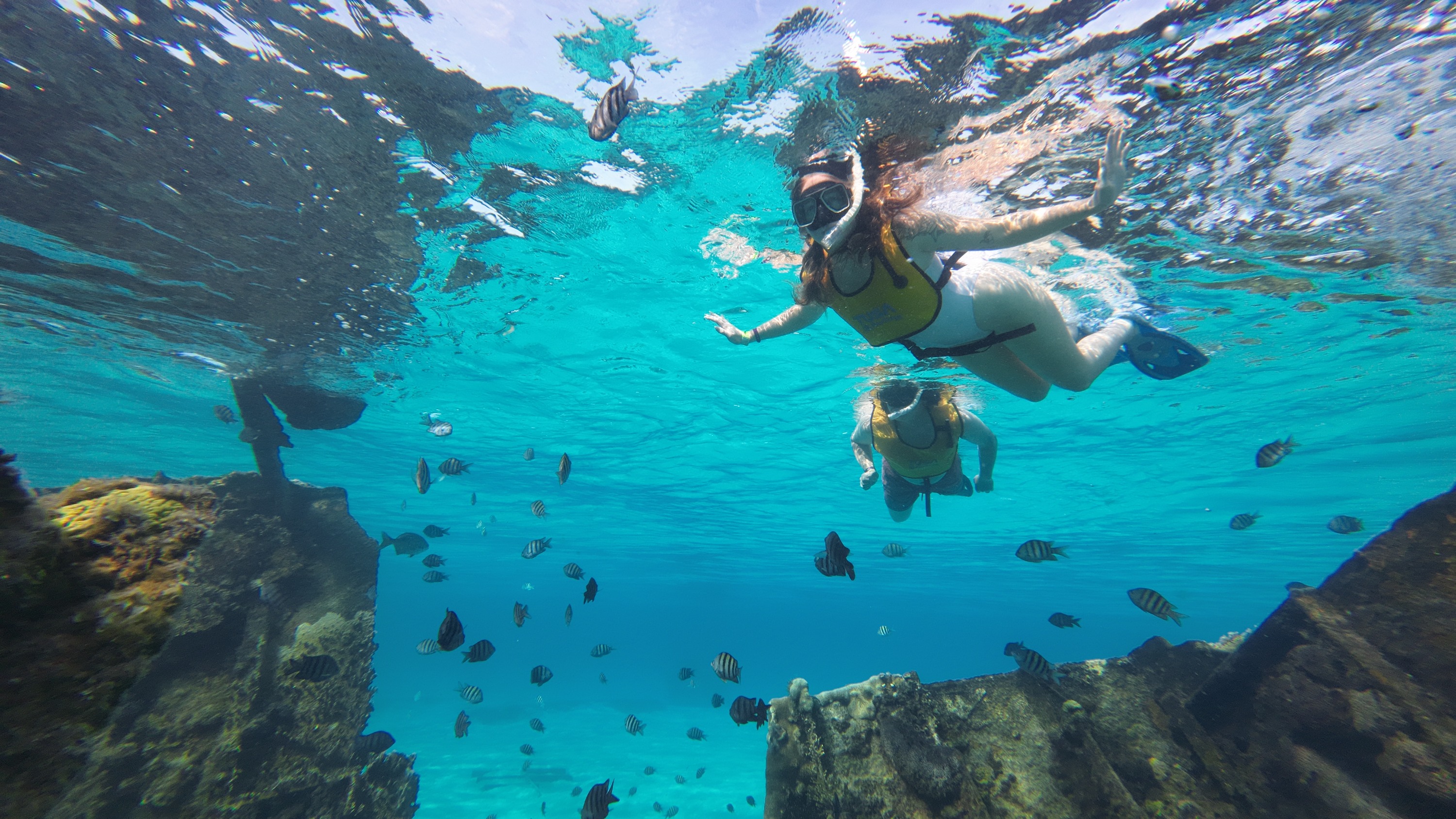 5-in-1 Snorkeling Tour with Turtles, Reefs, Musa, Shipwreck