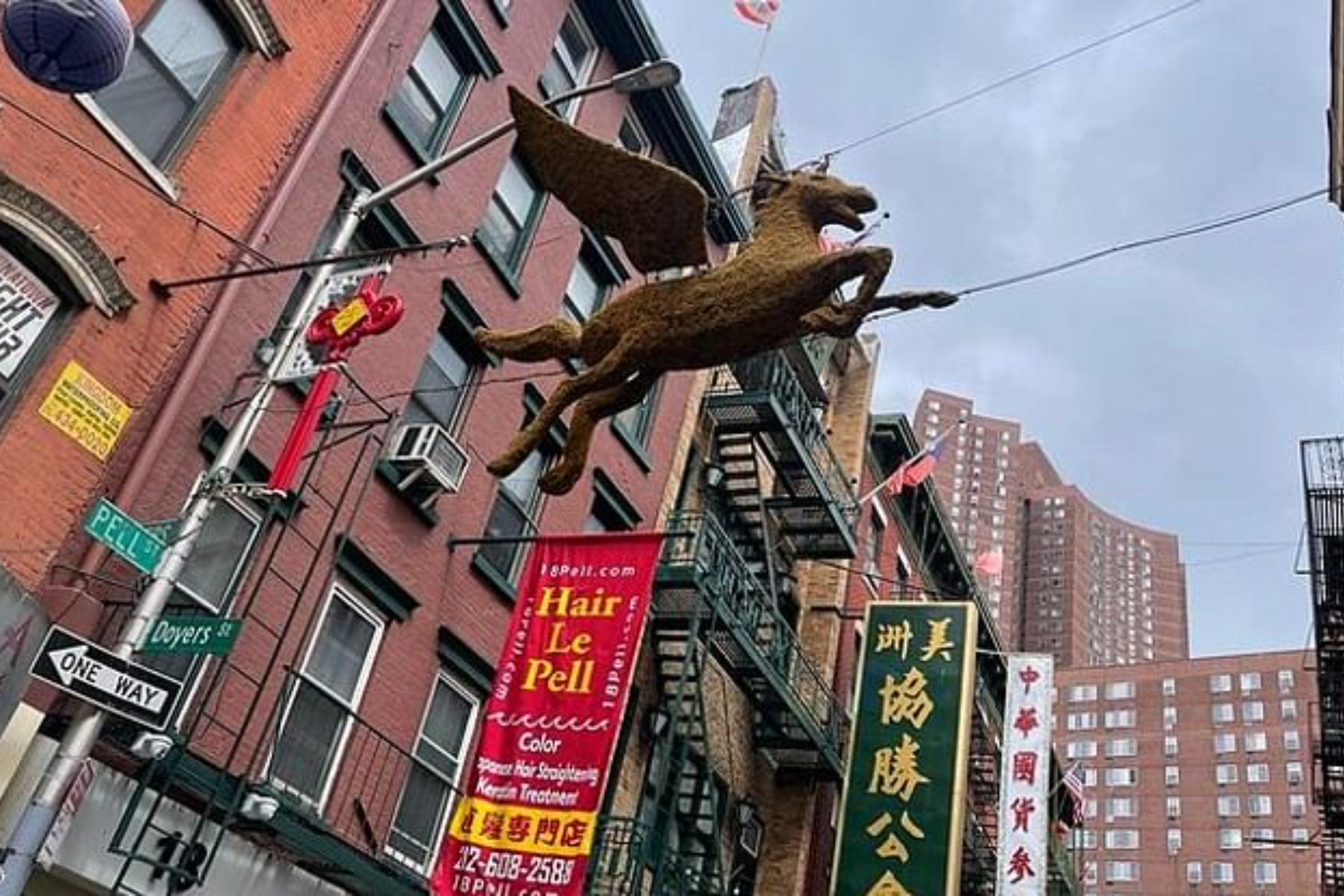 New York Chinatown Food Walking Tour