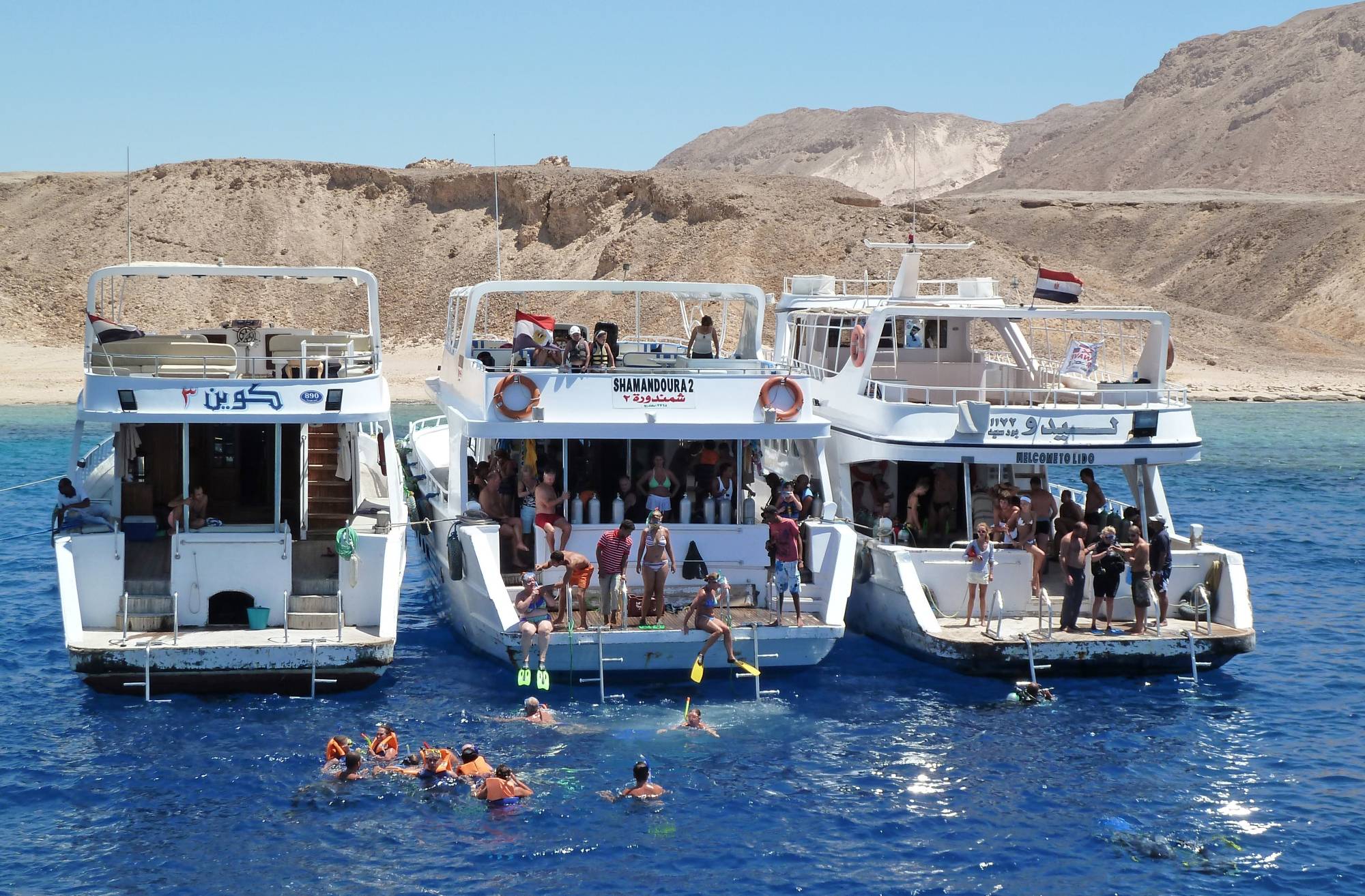 Hurghada: Dolphin Watching Boat Tour with Snorkeling & Lunch