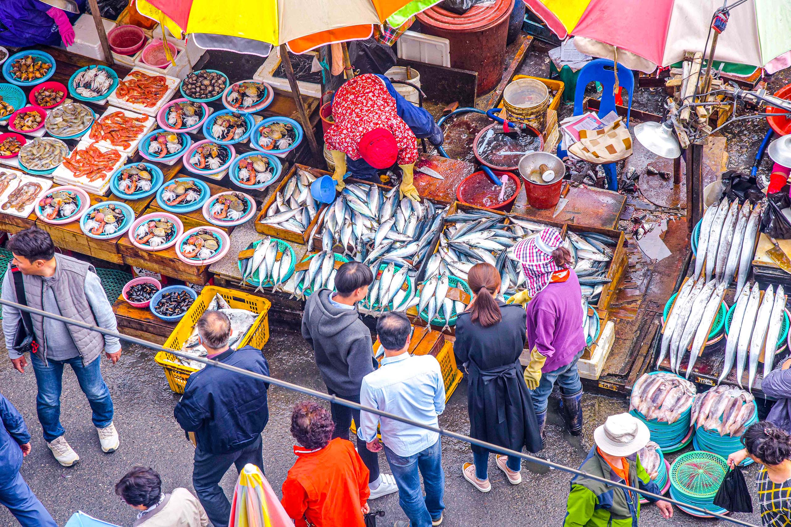 🐟 在札嘎其市場品嚐釜山最新鮮的海產，盡享道地的美食體驗。