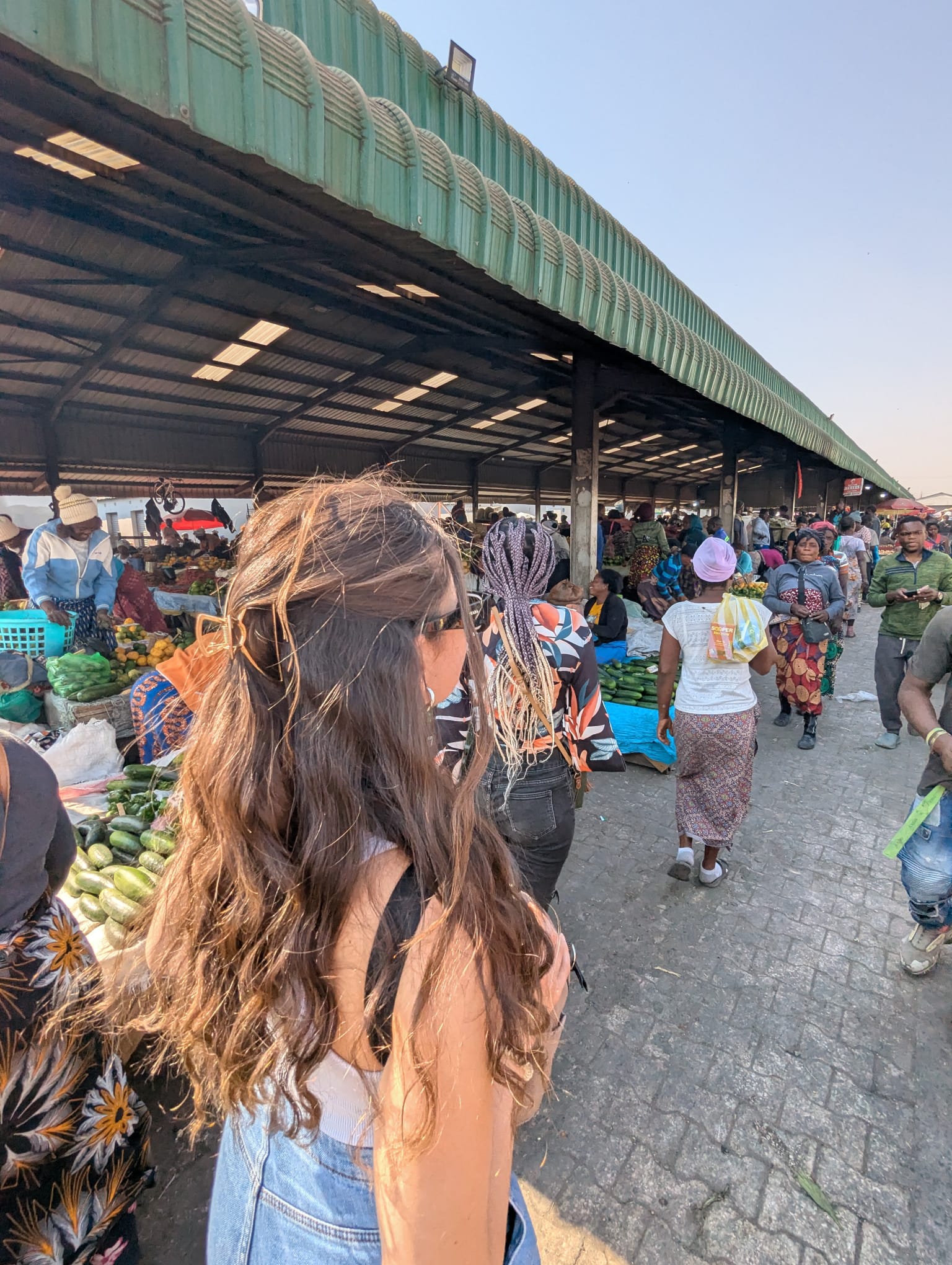 Soweto Market & Elephant Orphanage Project (Game Rangers International) One-day Heritage & Street Food Tour