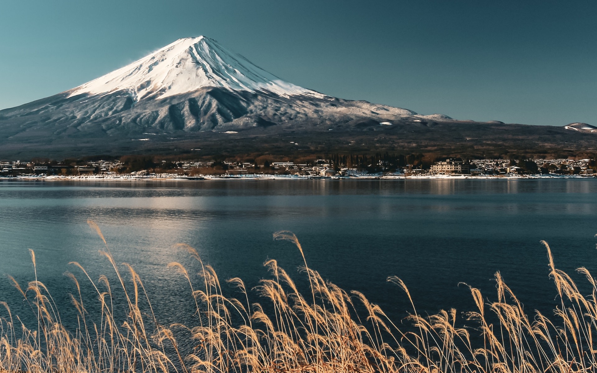Mt Fuji Day Tour with A5 Beef lunch option (from Tokyo)