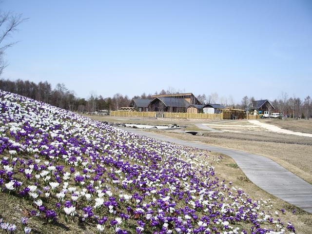 北海道苫小牧市北馬公園門票