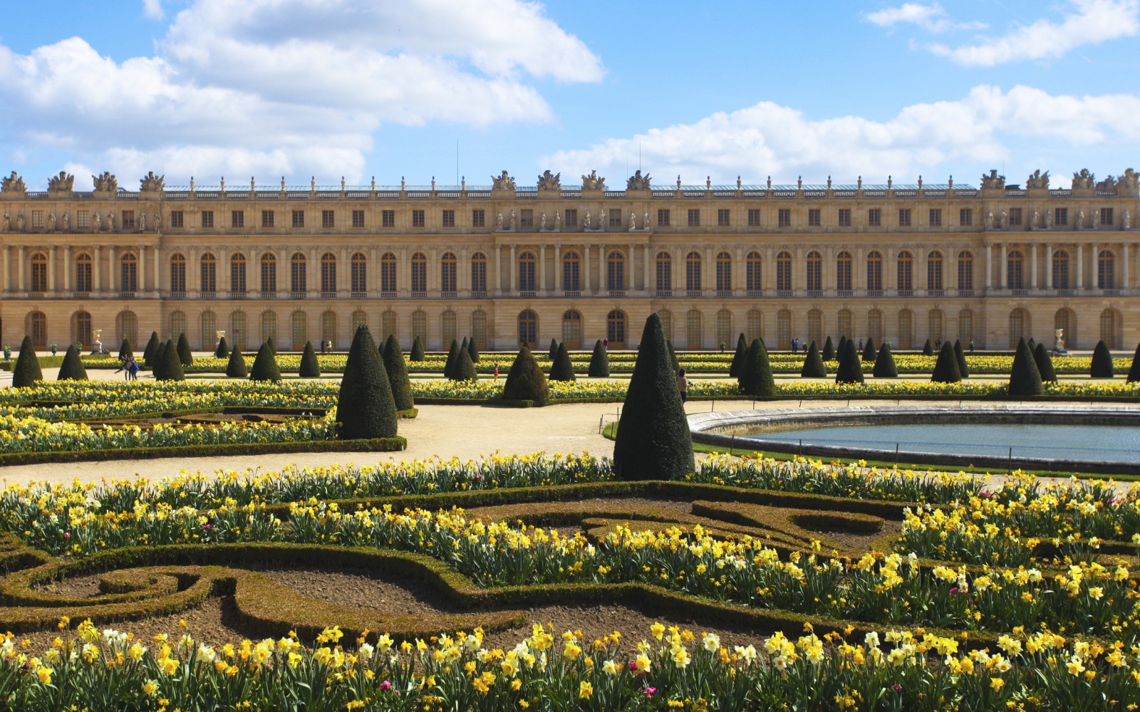 Sculpted topiary patterns decorating the formal gardens of Versailles palace