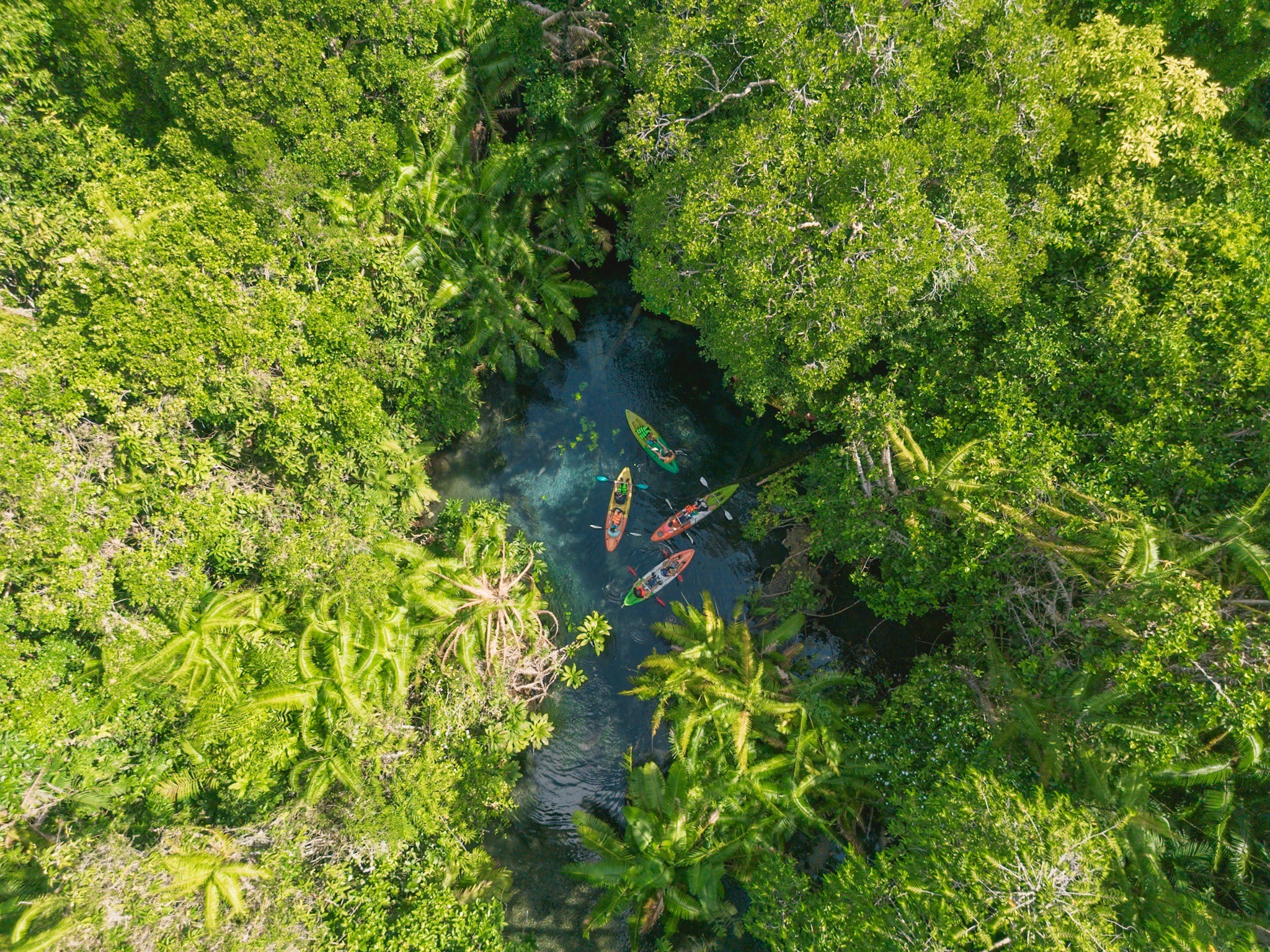 Klong Root Kayaking & Elephant Shelter Half-day Nature Tour from Krabi