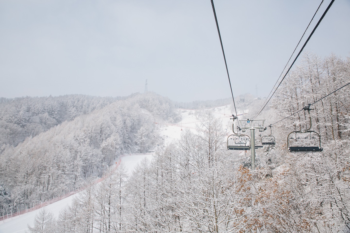 Elysian Ski Resort & Nami Island Day Tour from Seoul