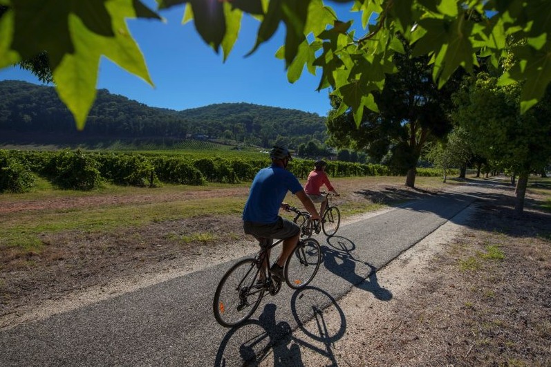 Murray to Mountains Rail Trail 自行車之旅（Beechworth 出發）