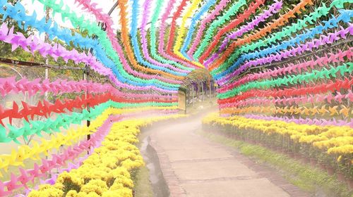 求水山景区 往復ケーブルウェイ（深圳）