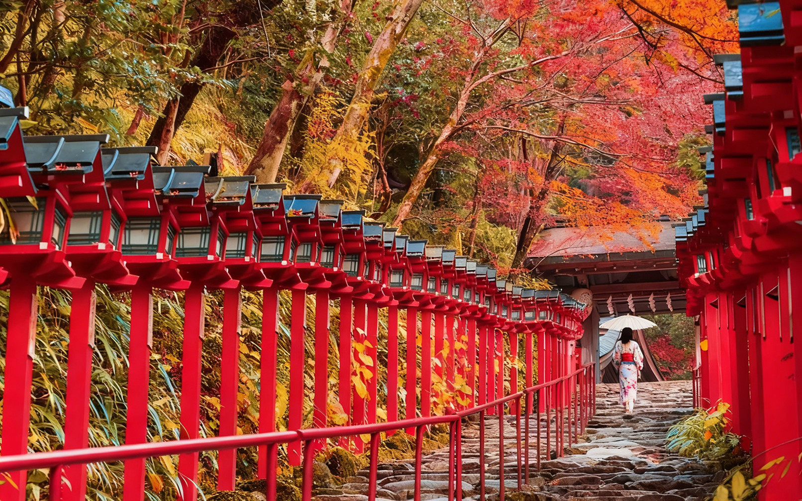 Kyoto Small Group Day Tour: Kifune Shrine & Nanzen-ji Temple/Eikando Temple & Sanzen-in Temple & Eizan Electric Railway Experience (Departure from Osaka/Kyoto)