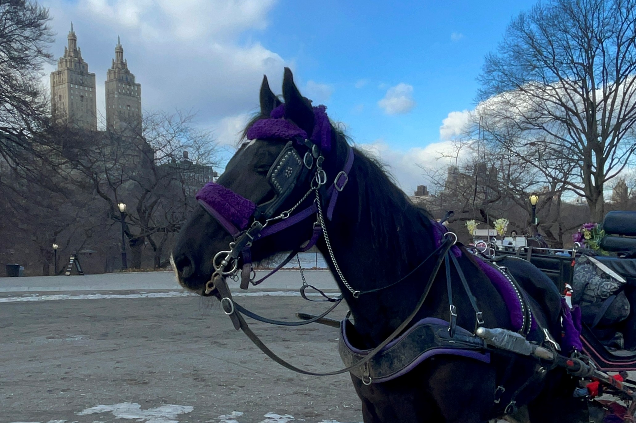 Horse Carriage Ride from Central Park to Rockefeller Center