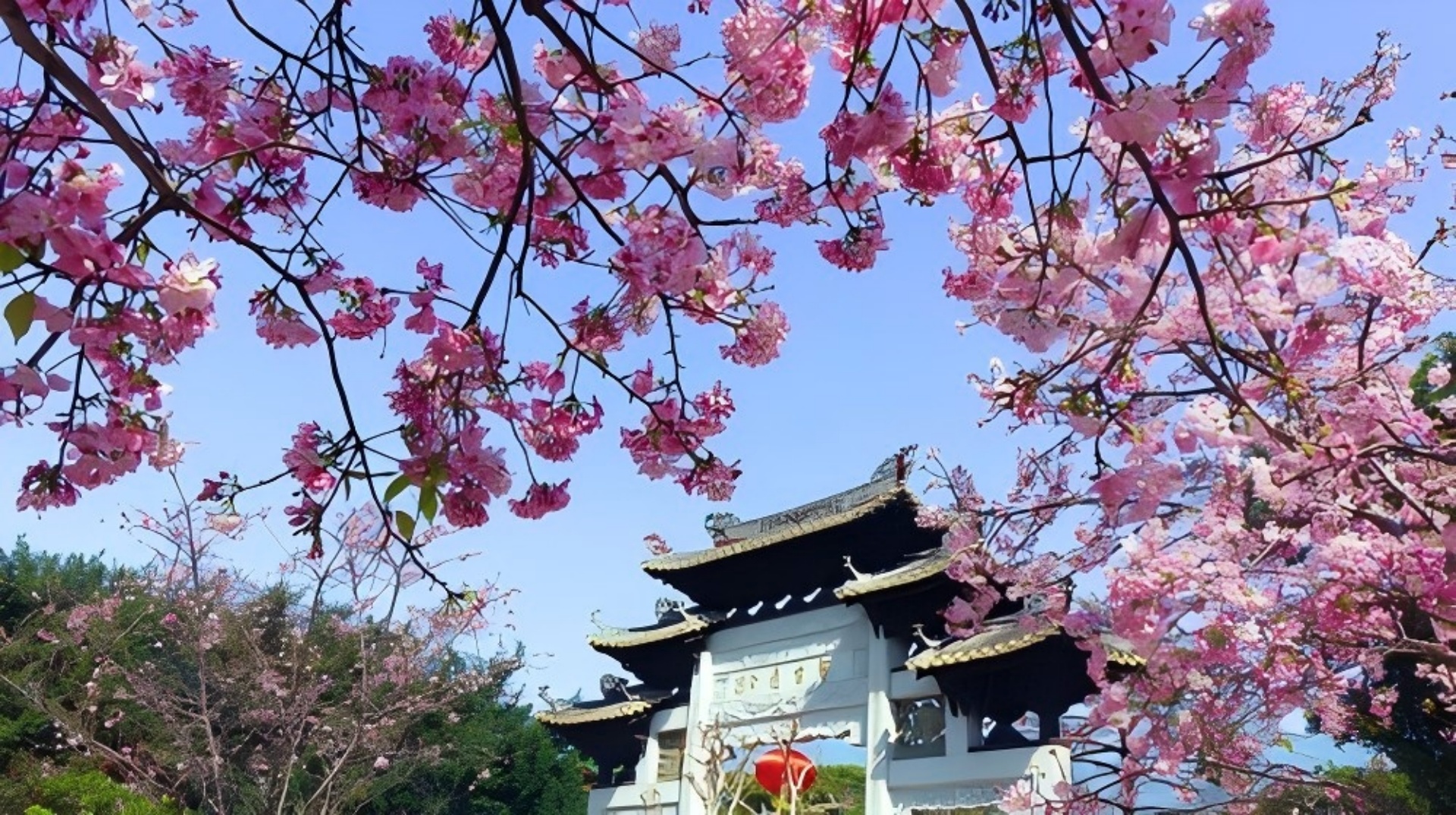 【嶺南文化山水園林】寶墨園