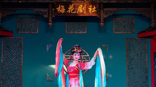 Plum Blossom Opera Society Sichuan Opera Face-changing Performance