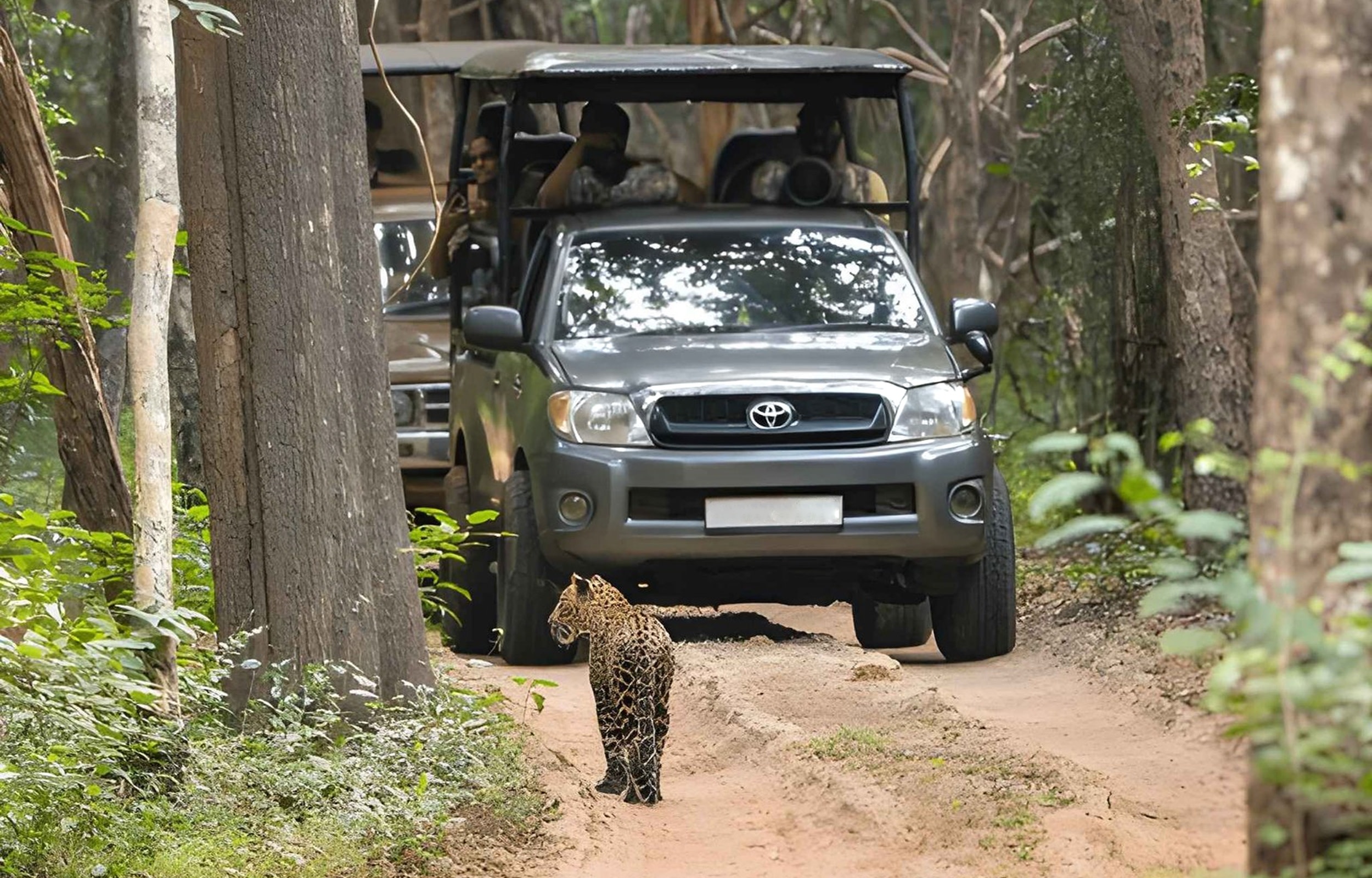 Wilpattu National Park Private Safari