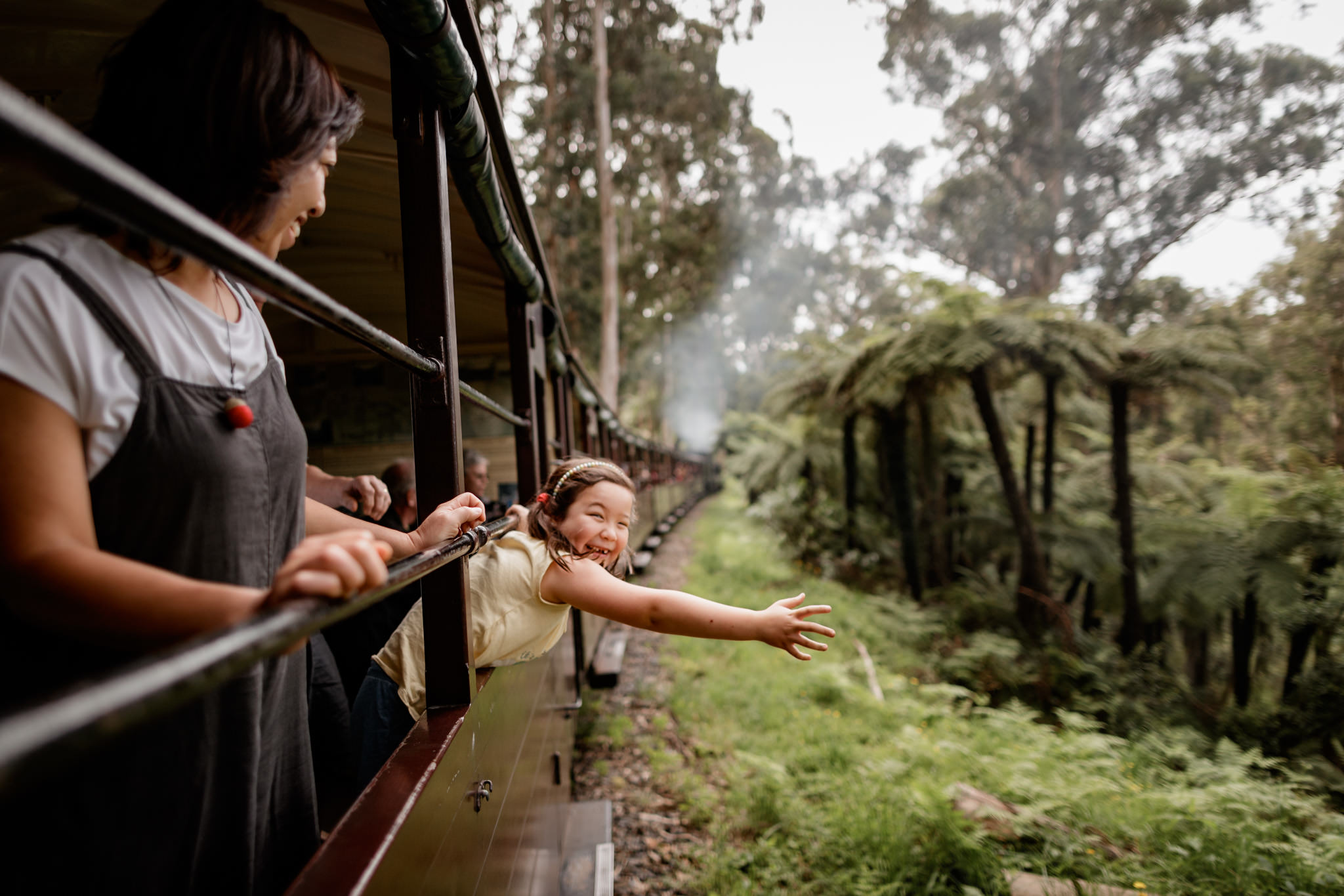 Puffing Billy Train & Penguin Parade Tour with Wildlife Encounters