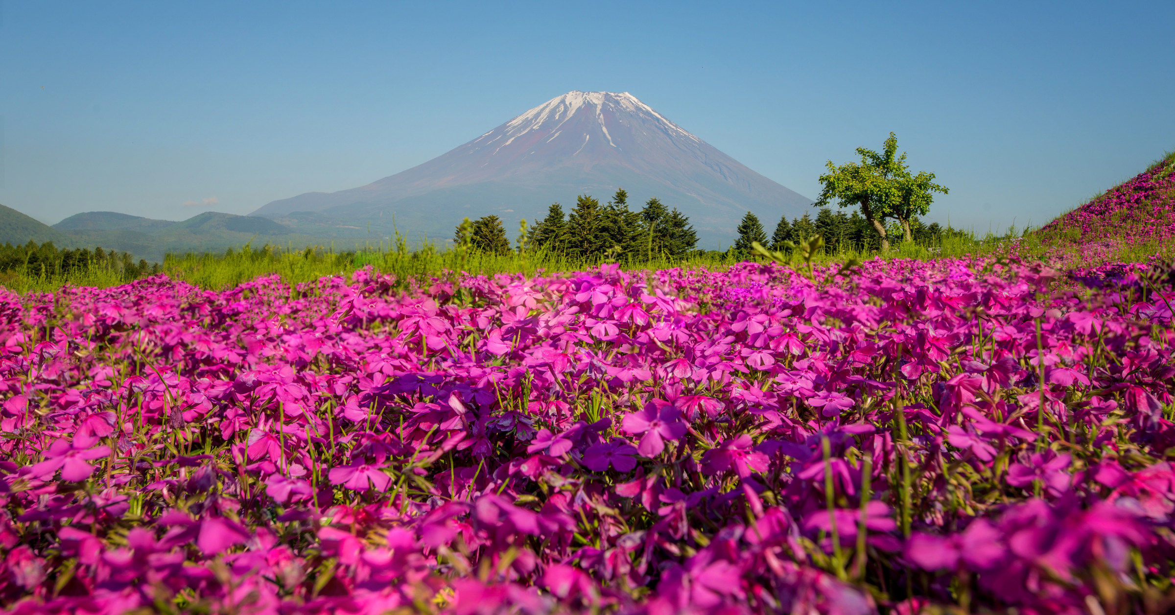 富士山私人定製一日遊（東京出發）
