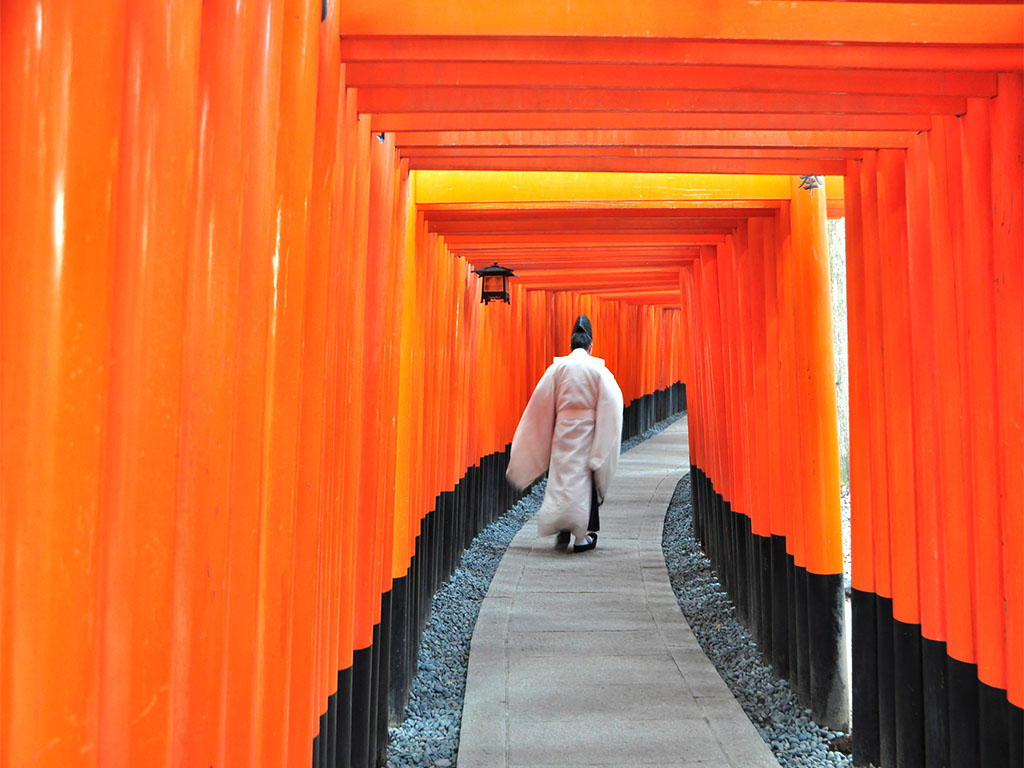 從大阪出發，伏見稻荷大社、嵐山、清水寺一日遊