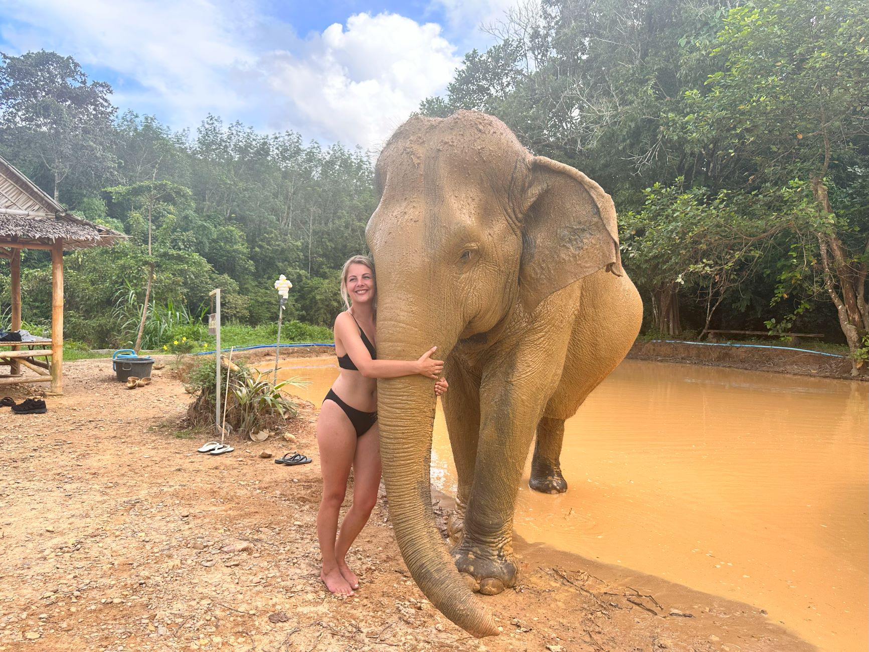 Follow up with a fun-filled elephant mud spa experience.