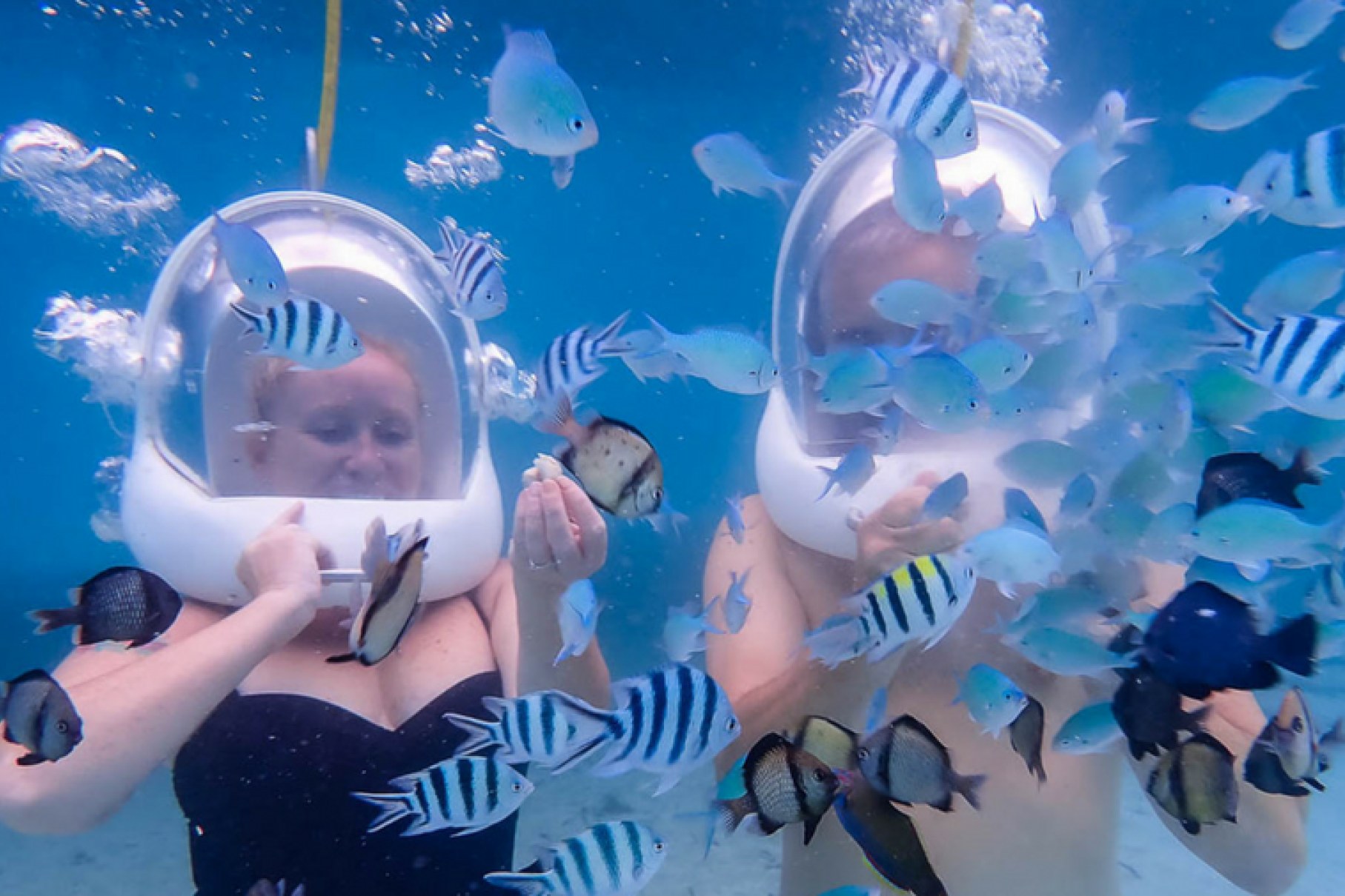 Cebu Helmet Diving Experience