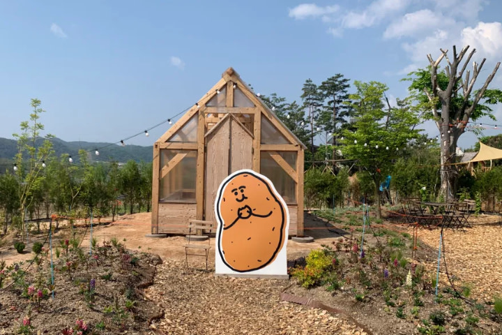 Chuncheon 3-Hour Tourist Taxi Tour