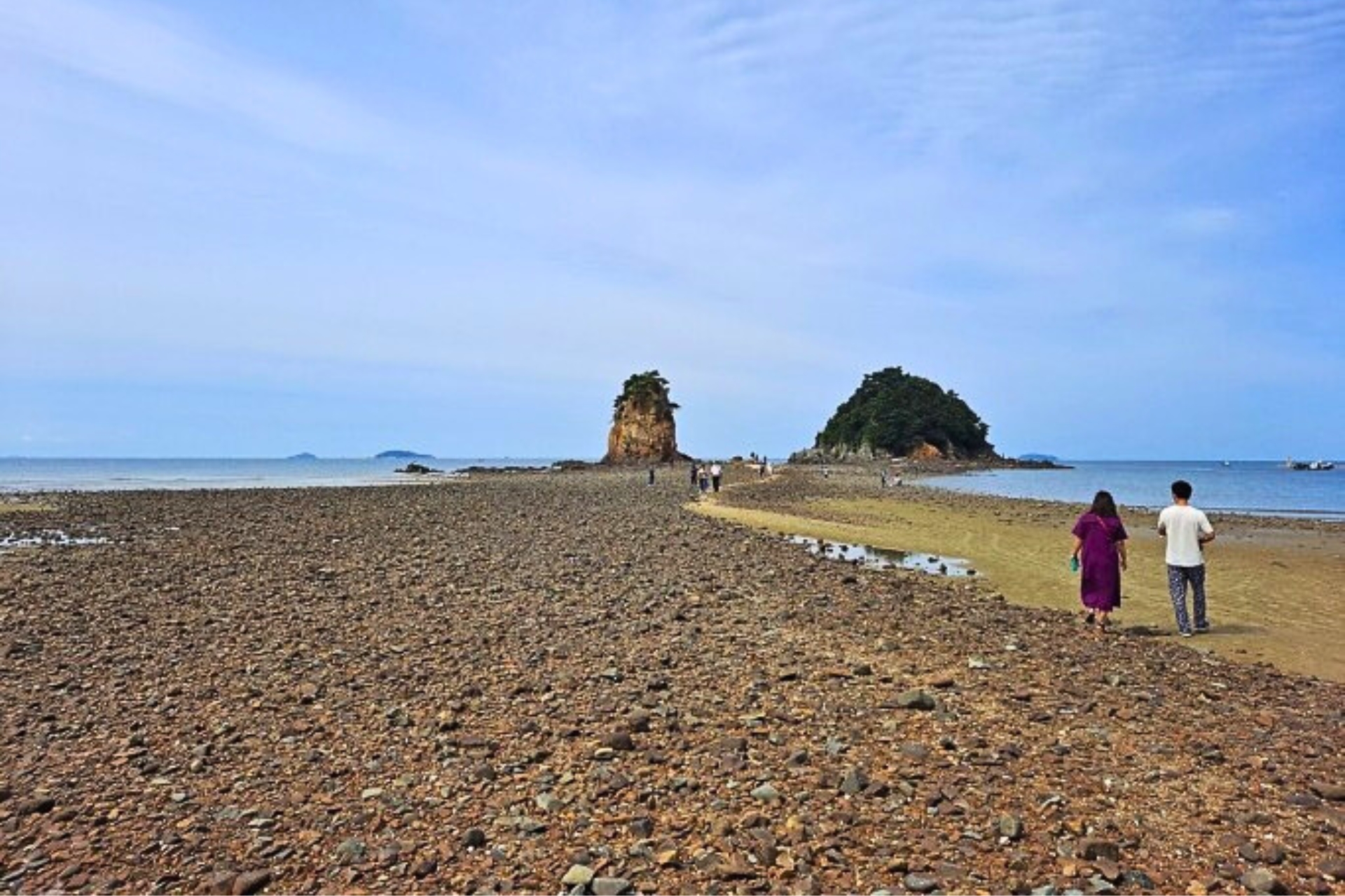 泰安世界鬱金香節 + 安眠島 花地海水浴場 + 草莓採摘 一日遊 (首爾出發)