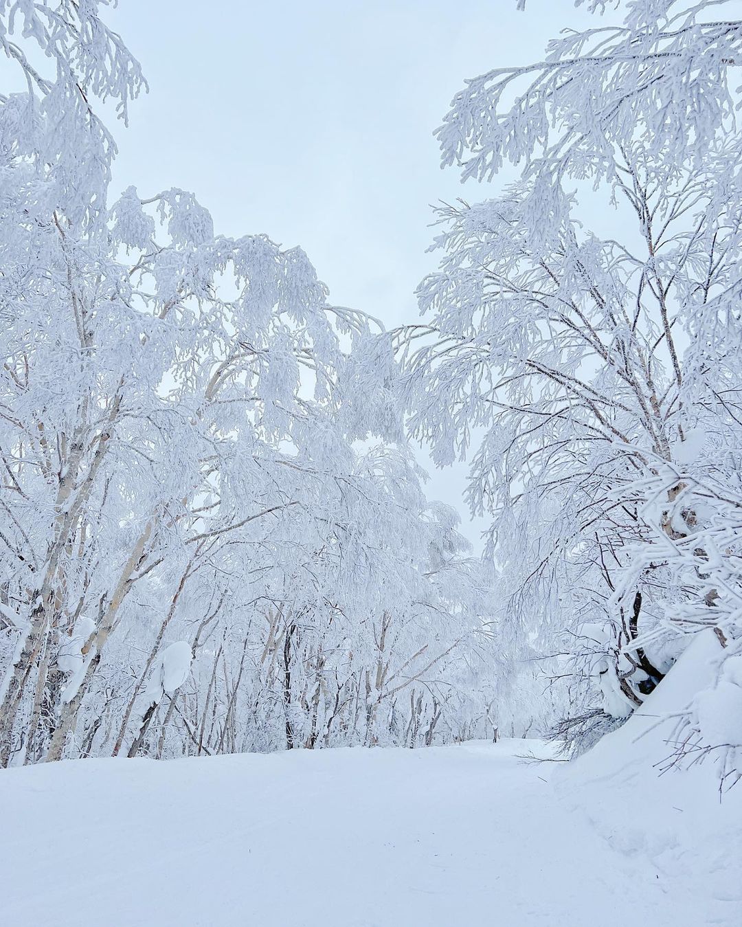 北海道滑雪＆溫泉一日遊｜精緻小團｜酒店接送