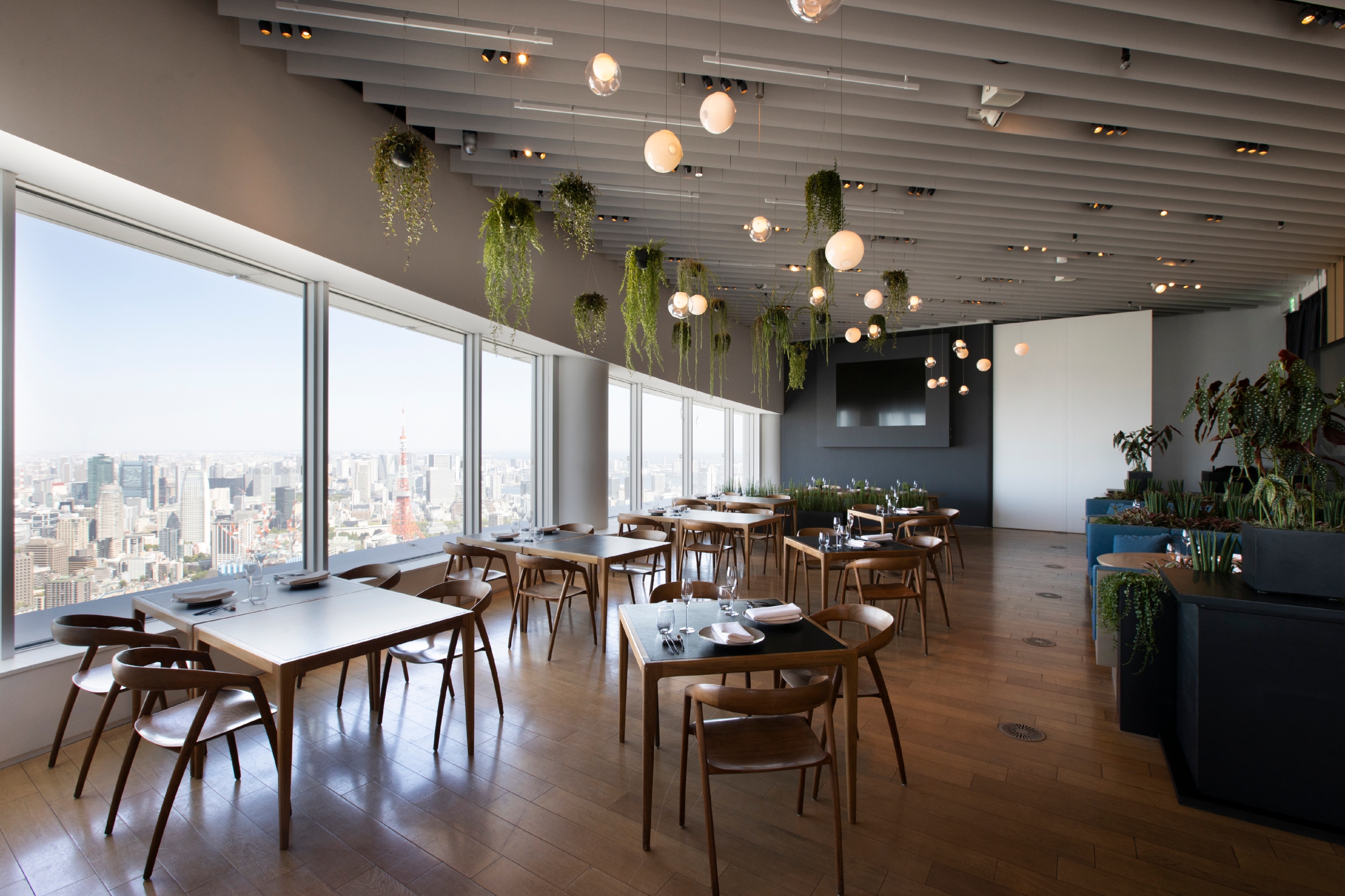 THE SUN & THE MOON Restaurant 法式料理 - 東京